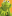 Wiki Root Wiki Root